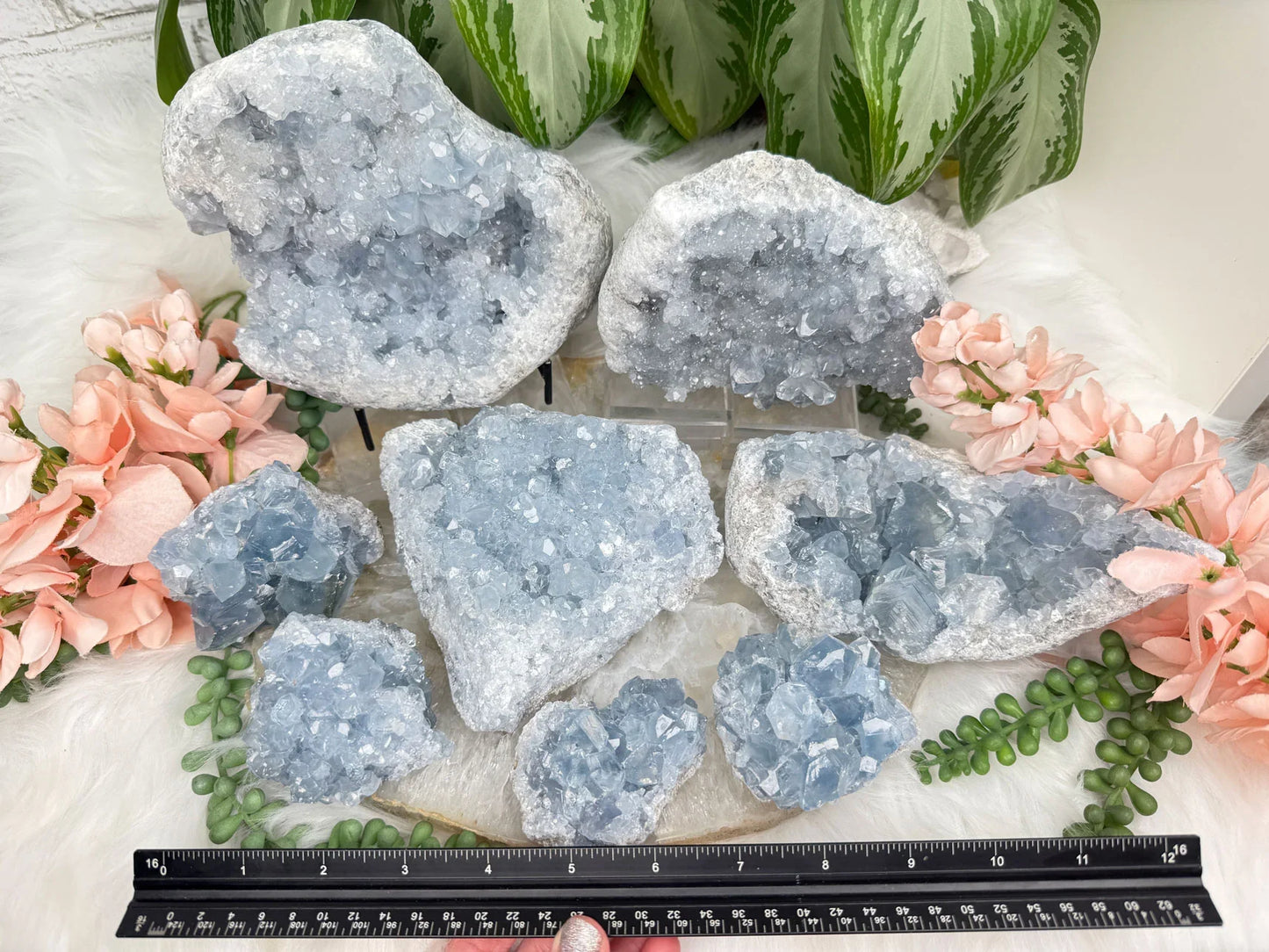 Blue Celestite Clusters