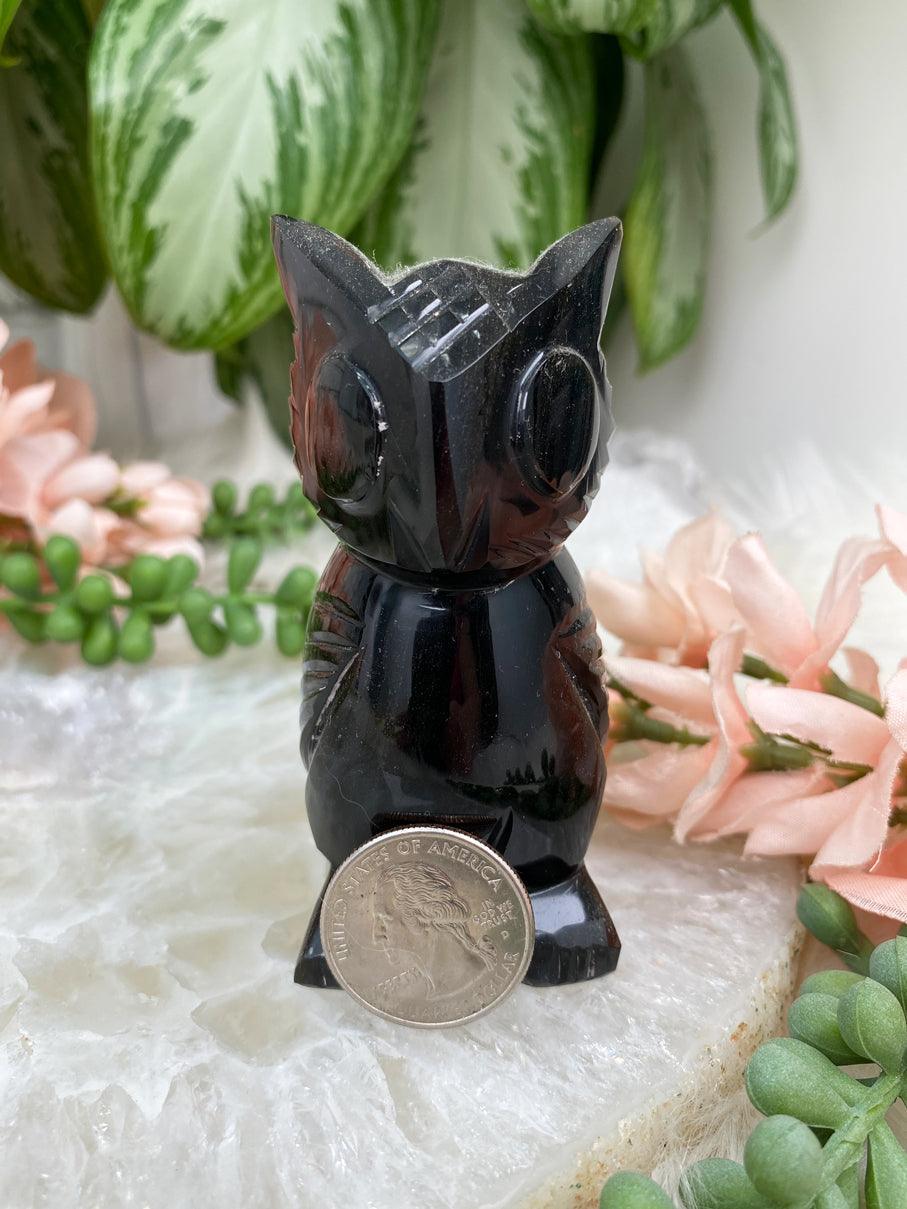 Black-Obsidian-Owl