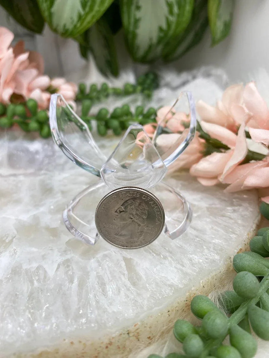 Clear-Plastic-Tuplip-Stand