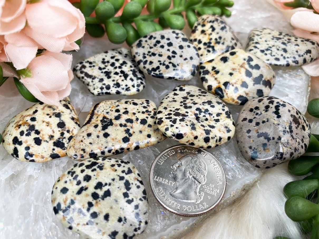 Dalmatian Jasper