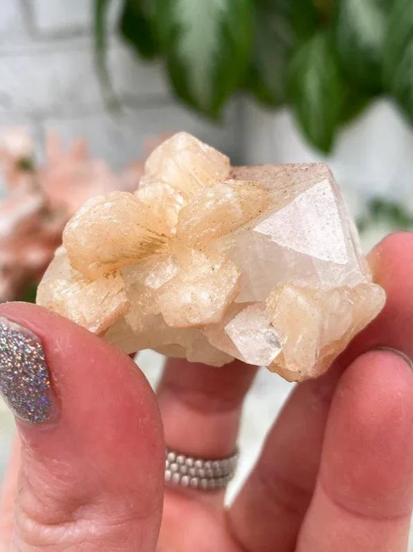 Apophyllite Stilbite Mixes