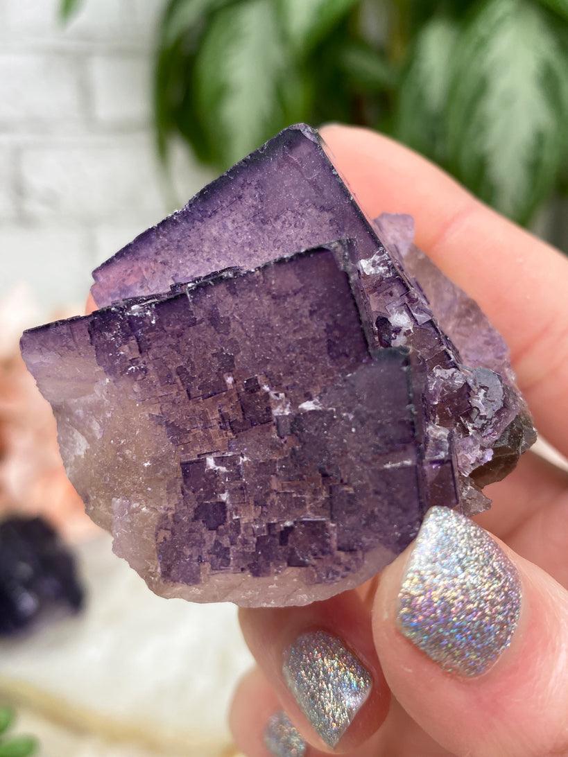 Musquiz Fluorite
