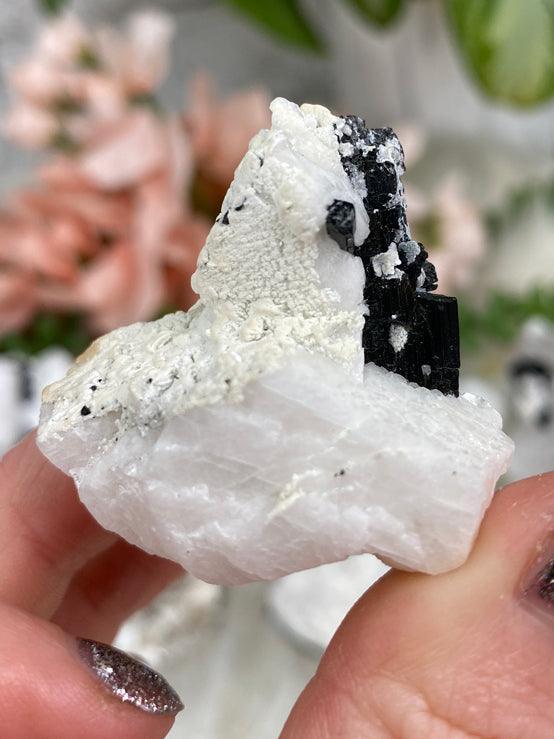 Black Tourmaline White Albite