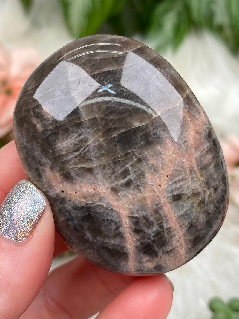 brown-moonstone-palm