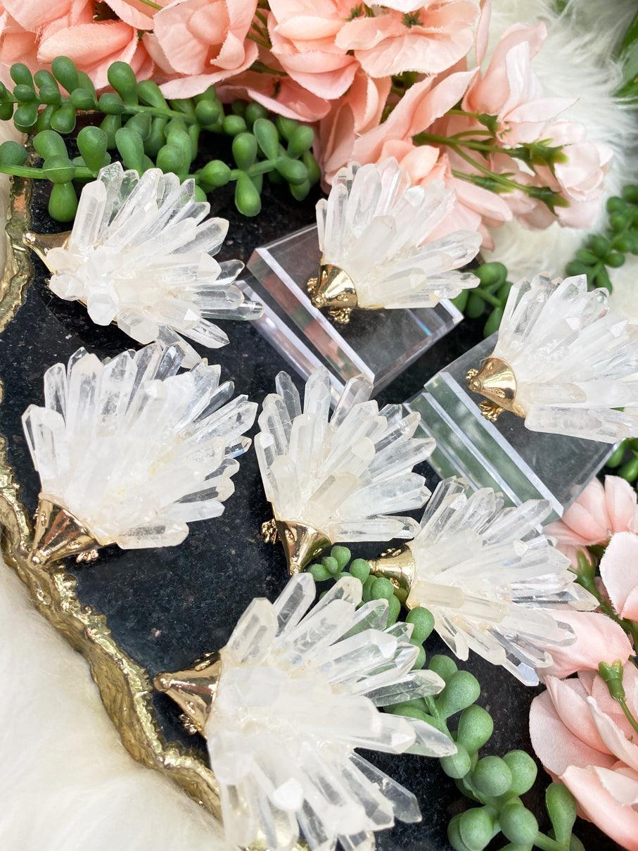 quartz-point-hedgehogs
