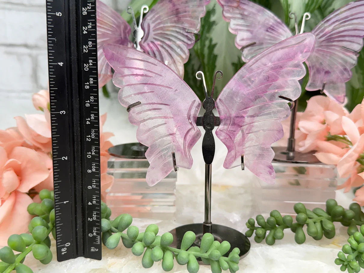 purple-fluorite-butterfly