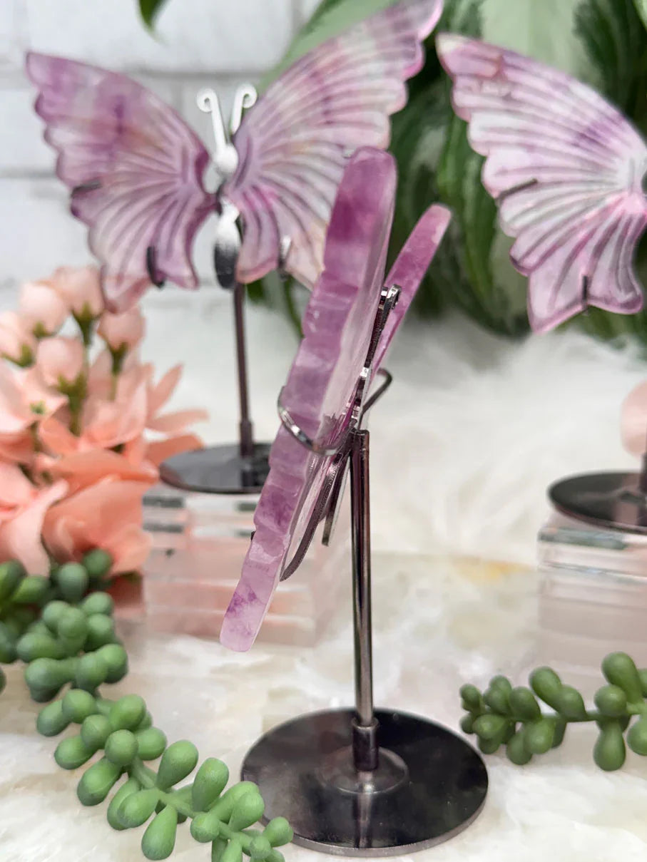 purple-fluorite-butterflies-on-metal-stands