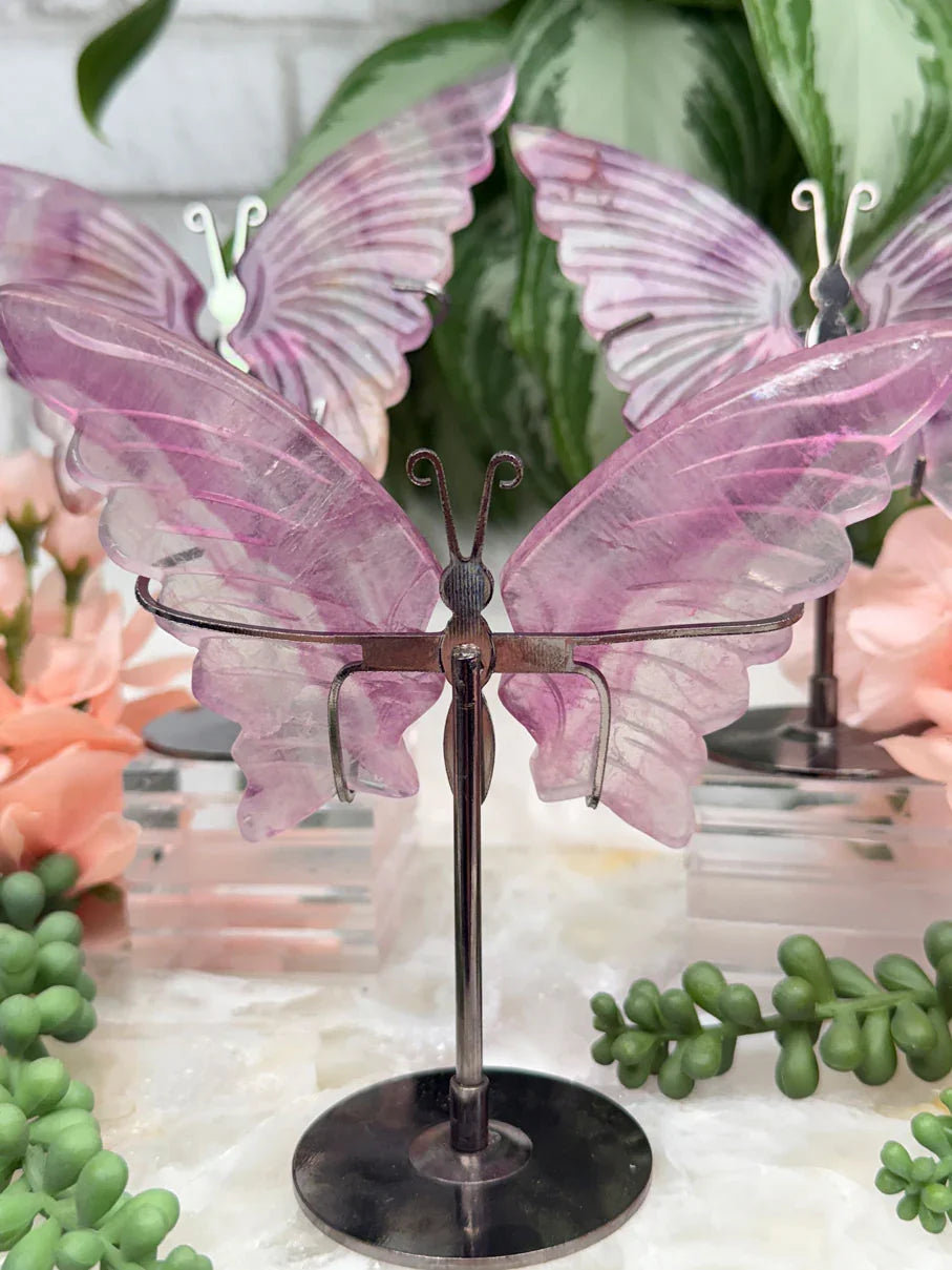 purple-fluorite-butterflies-on-metal-stands
