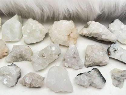 Small Apophyllite Clusters