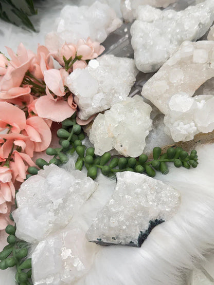 Small Apophyllite Clusters