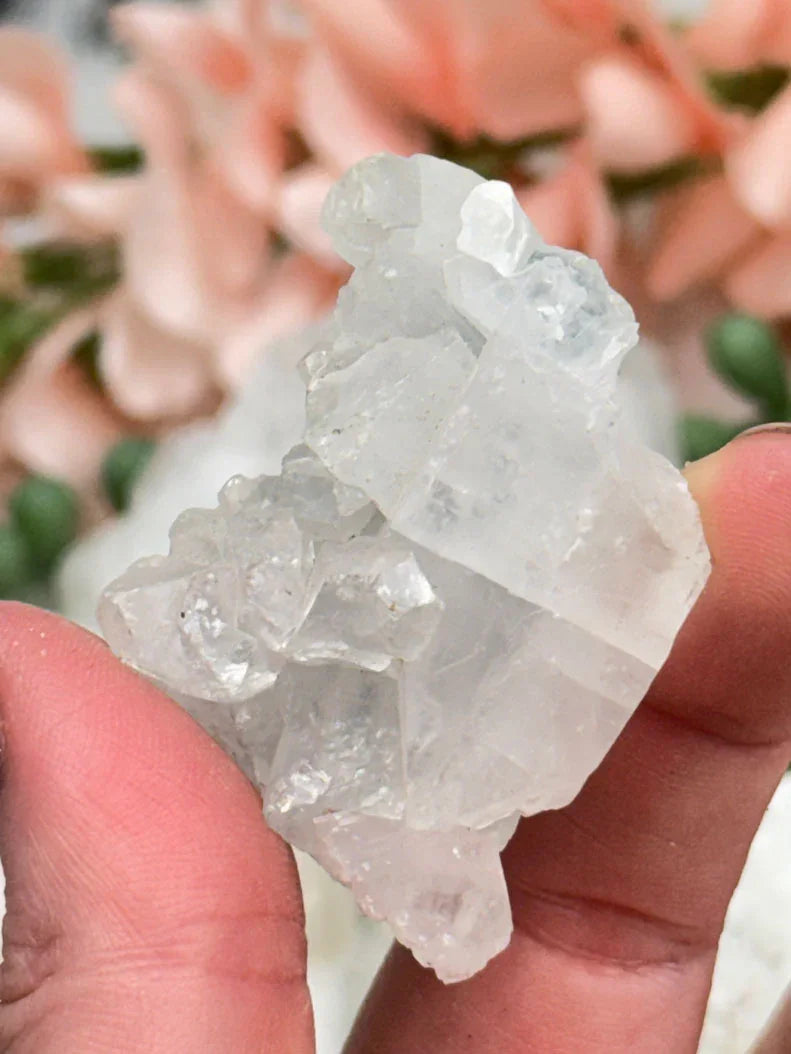 Small Apophyllite Clusters