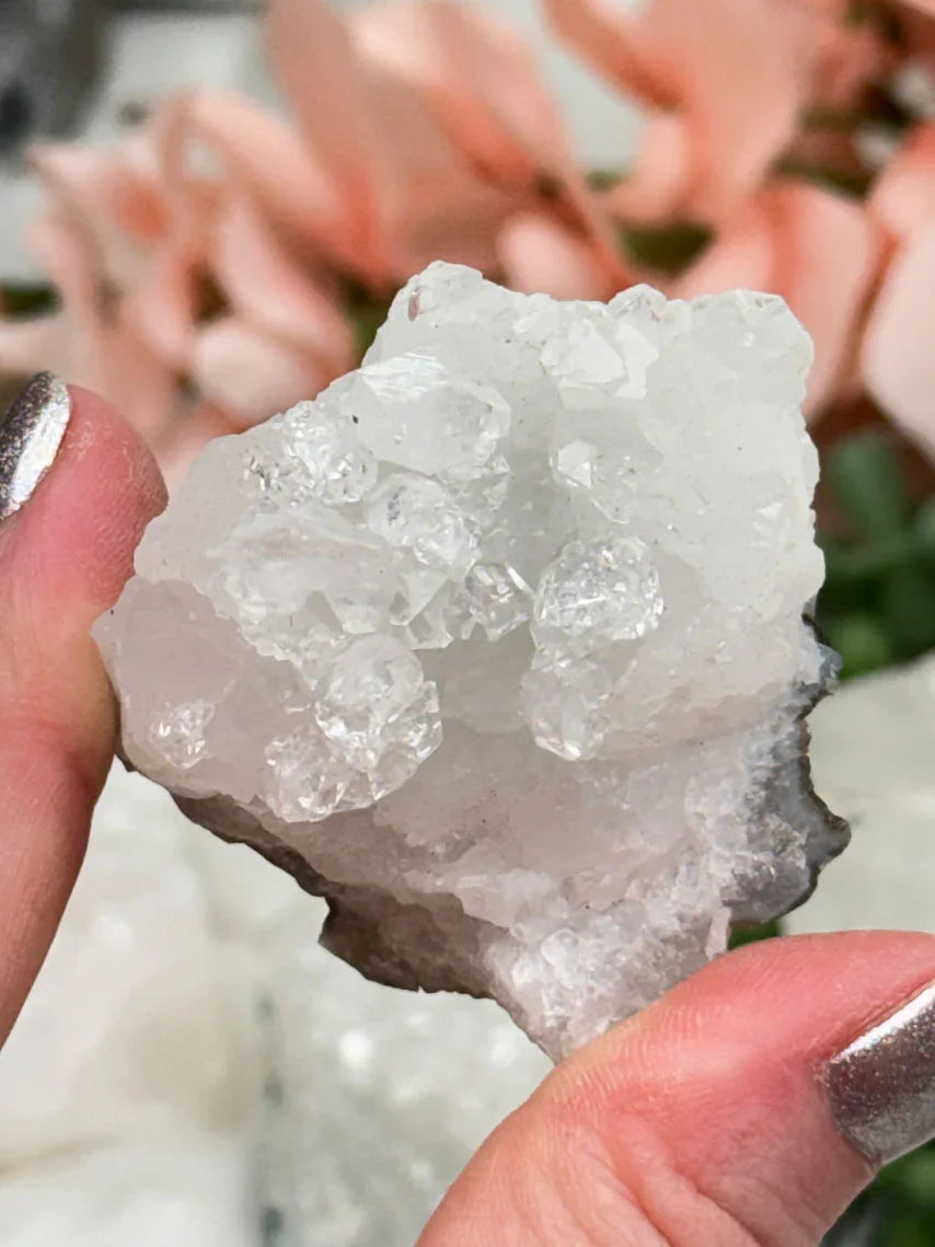 Small Apophyllite Clusters