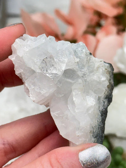 Small Apophyllite Clusters