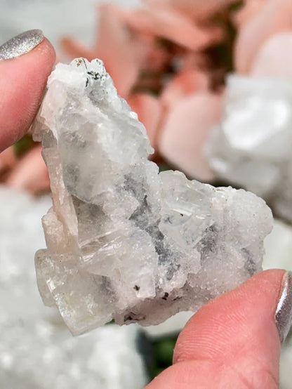 Small Apophyllite Clusters