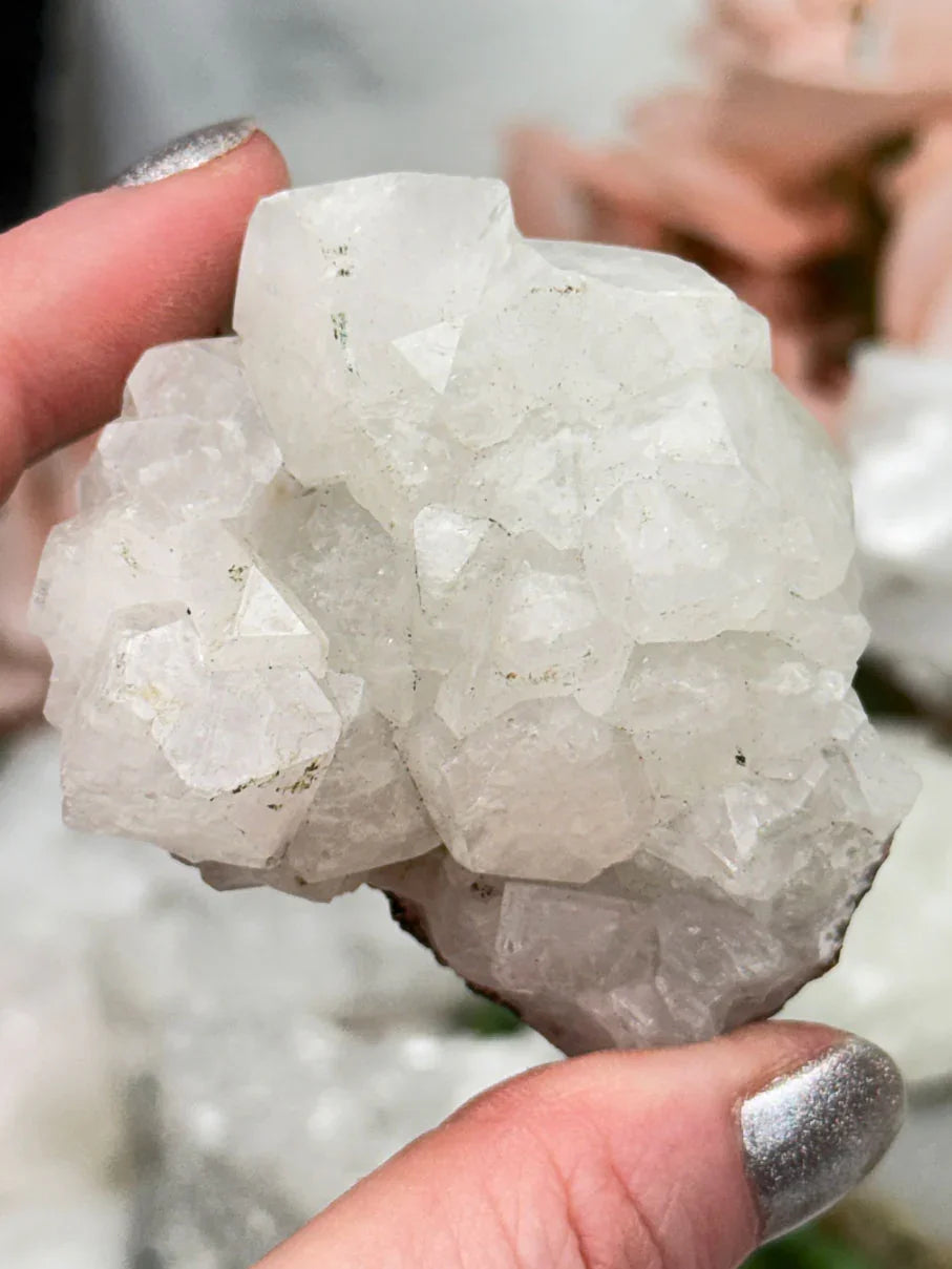 Small Apophyllite Clusters