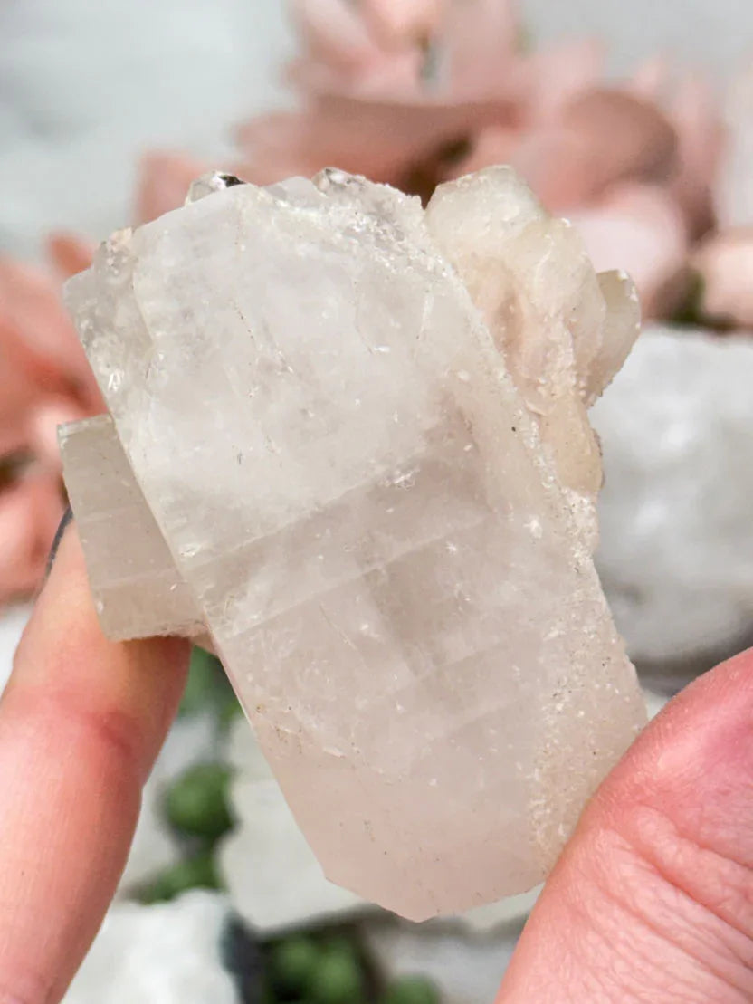 Small Apophyllite Clusters