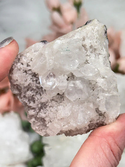 Small Apophyllite Clusters