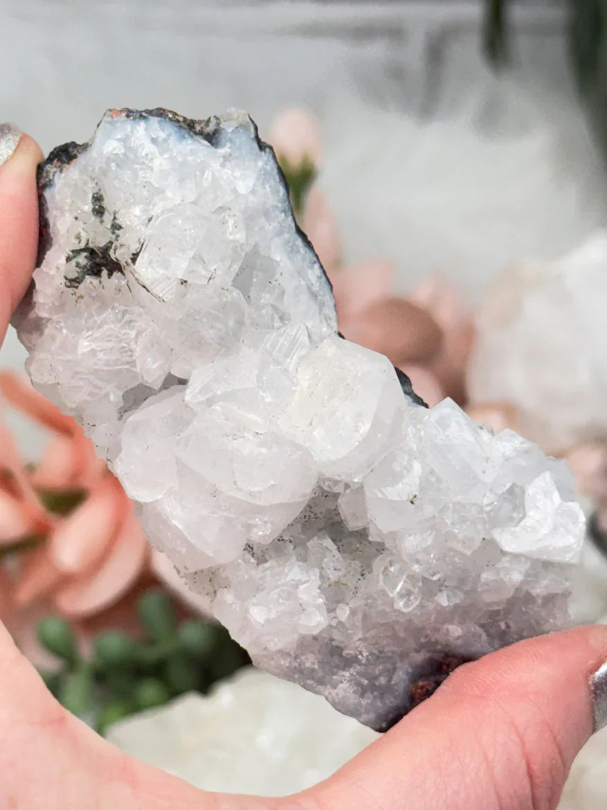 Small Apophyllite Clusters