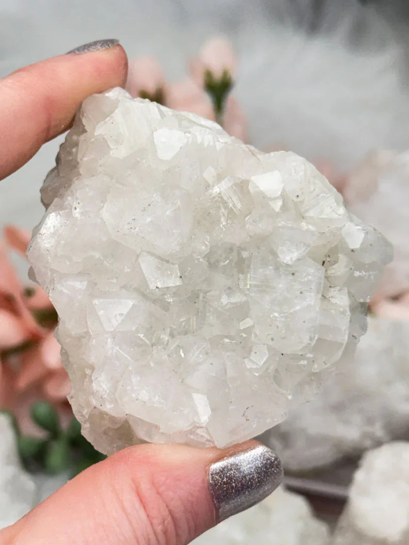 Small Apophyllite Clusters