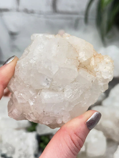 Small Apophyllite Clusters