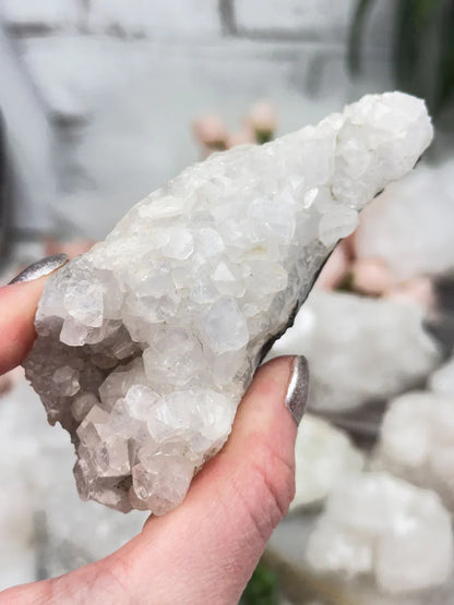 Small Apophyllite Clusters