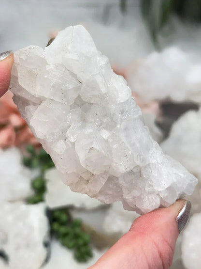 Small Apophyllite Clusters