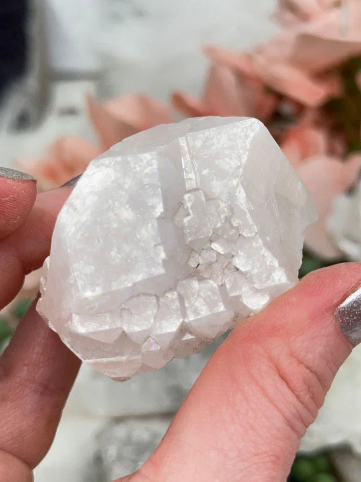 Small Apophyllite Clusters