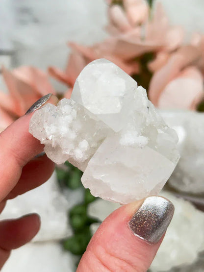 Small Apophyllite Clusters