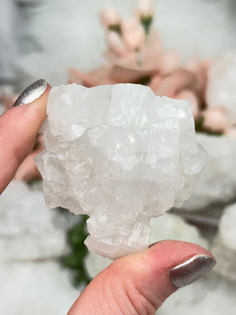 Small Apophyllite Clusters