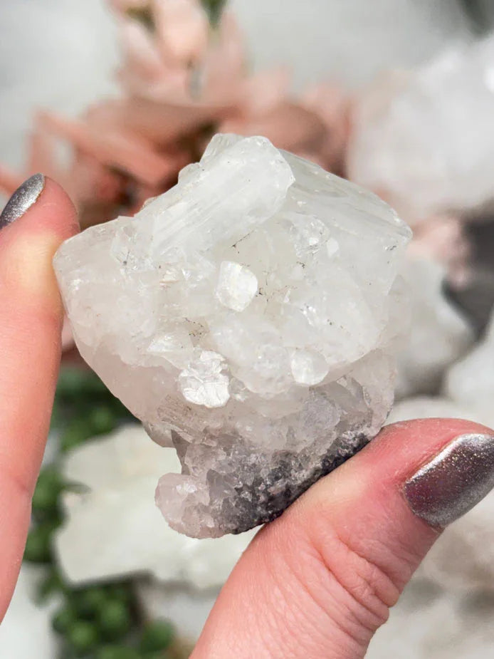 Small Apophyllite Clusters