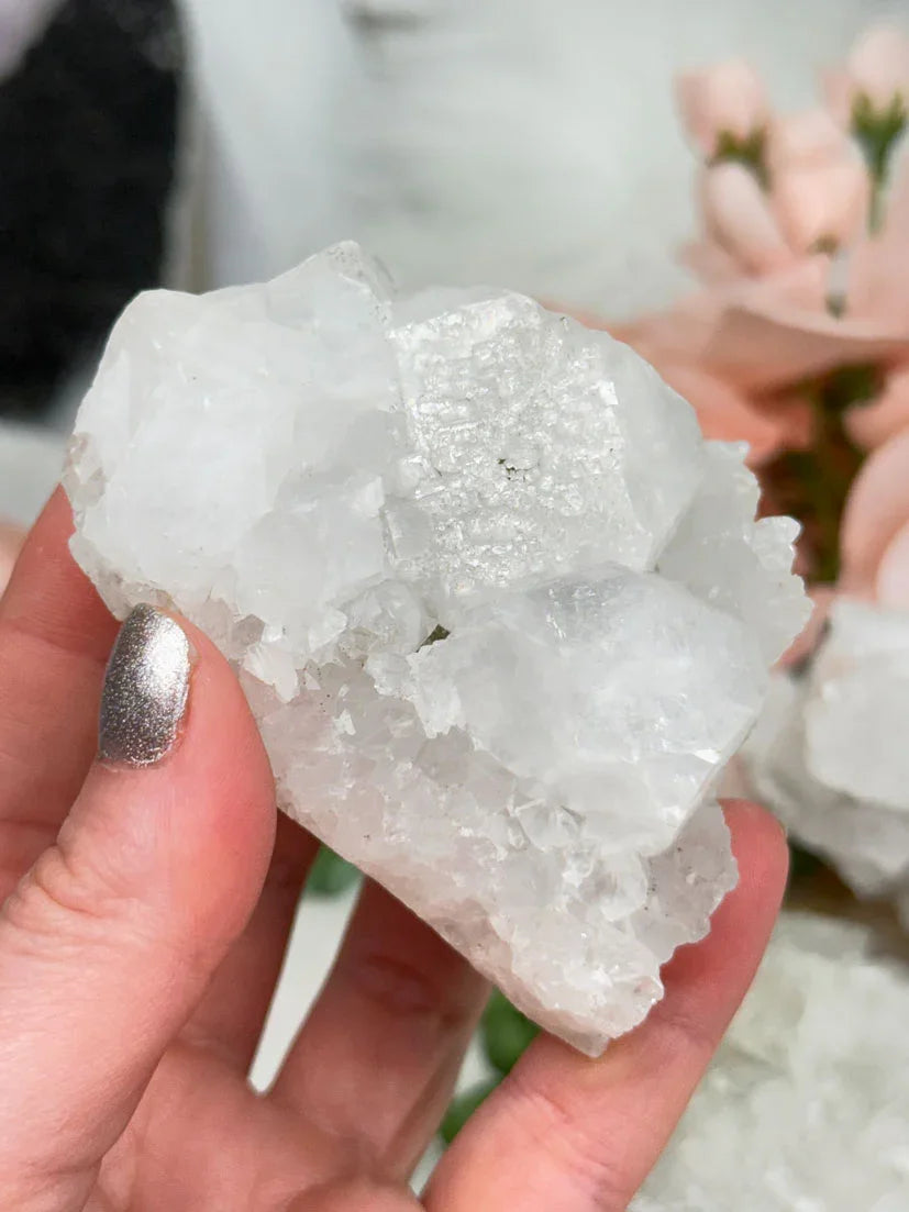 Small Apophyllite Clusters