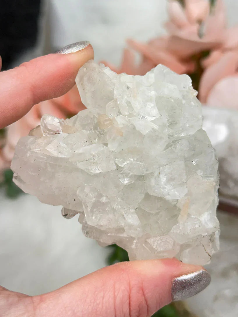 Small Apophyllite Clusters