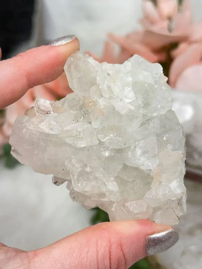 Small Apophyllite Clusters