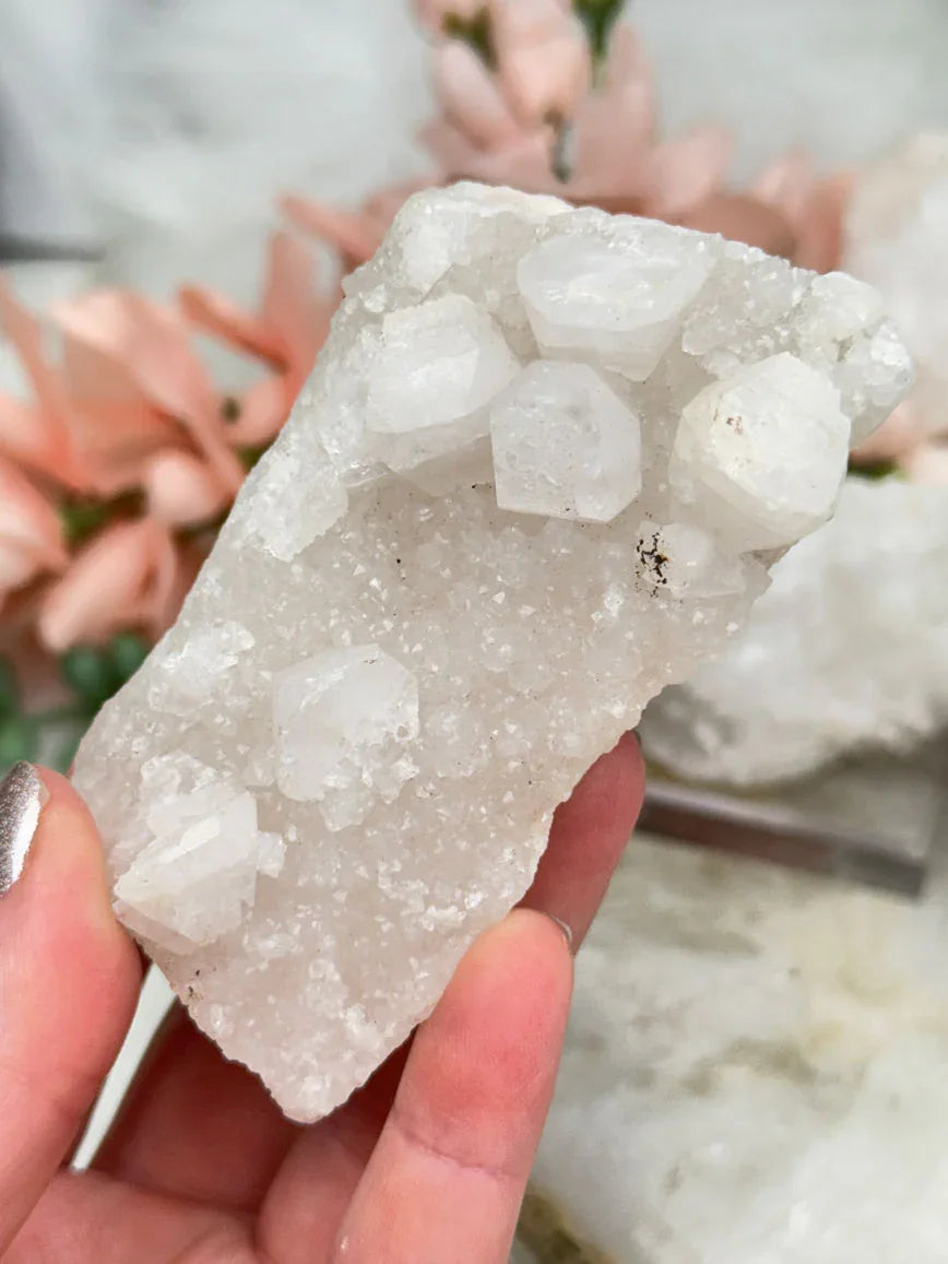 Small Apophyllite Clusters