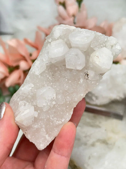 Small Apophyllite Clusters