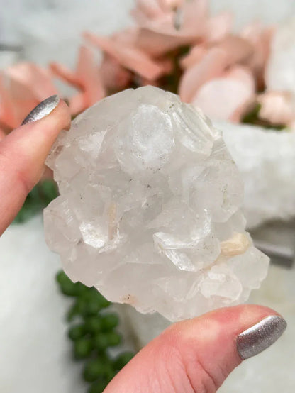 Small Apophyllite Clusters