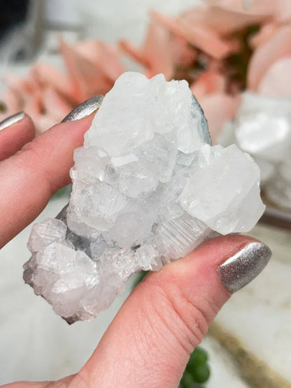 Small Apophyllite Clusters