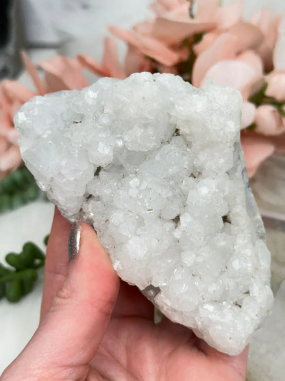 Small Apophyllite Clusters