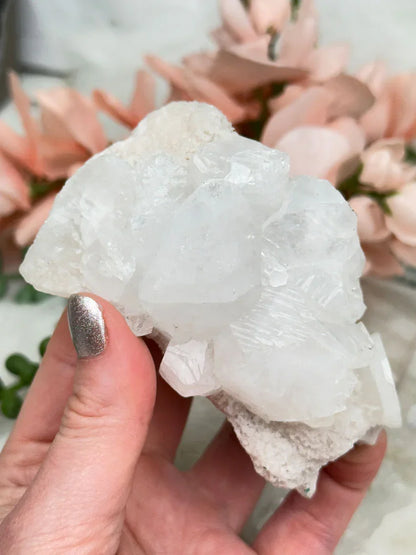 Small Apophyllite Clusters