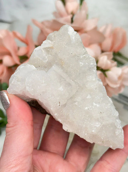 Small Apophyllite Clusters