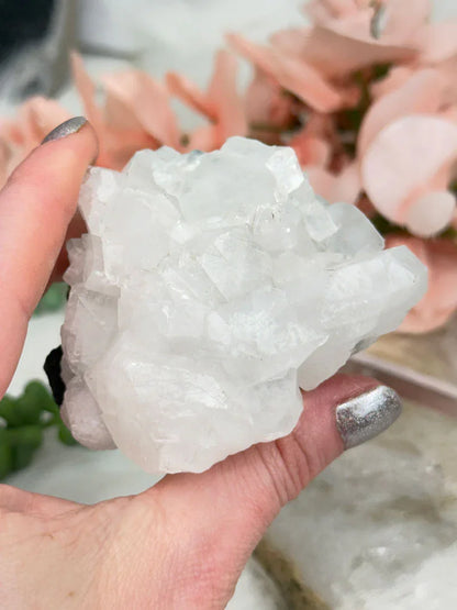 Small Apophyllite Clusters