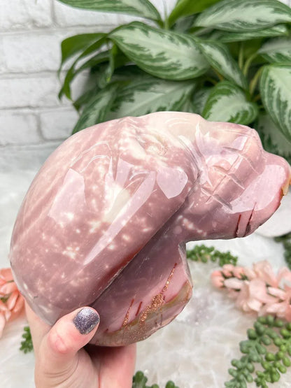 extra-large-polychrome-jasper-skull