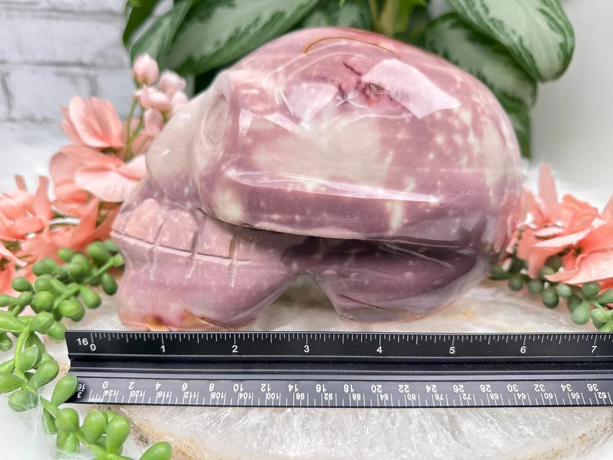 extra-large-polychrome-jasper-skull