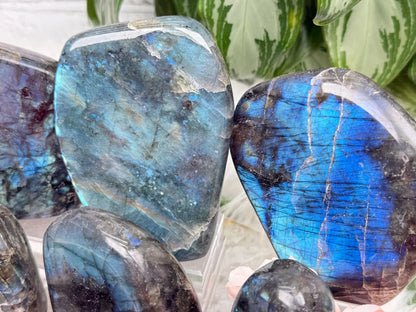 Labradorite Freeform Crystals