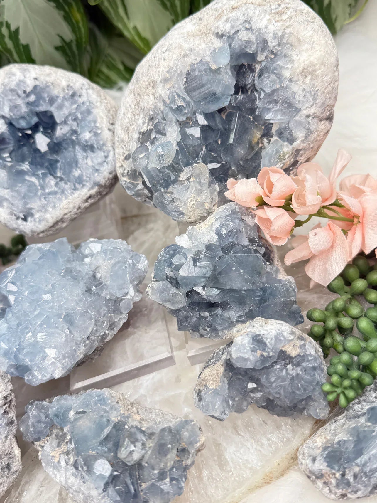 blue-celestite-crystal-clusters-for-sale