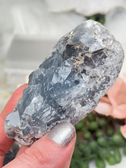 Blue Celestite Crystals