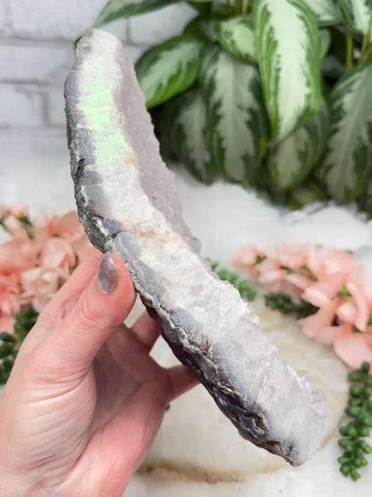 pale-pink-druzy-quartz-cluster