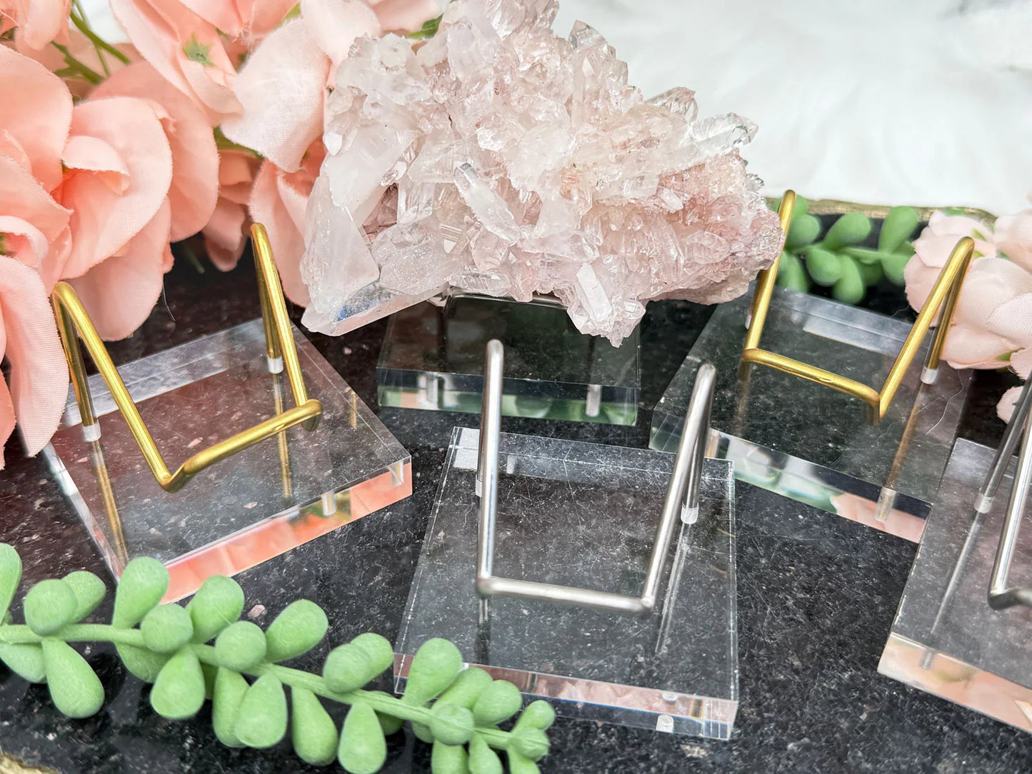 Acrylic Metal Specimen Stand