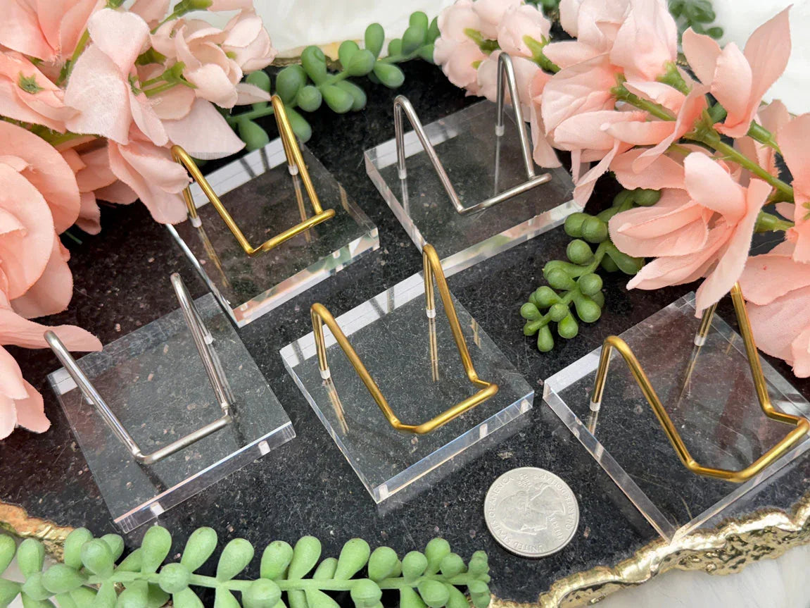 Acrylic Metal Specimen Stand