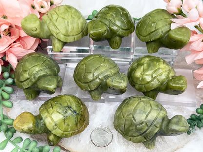 green-serpentine-turtle-crystal-carvings